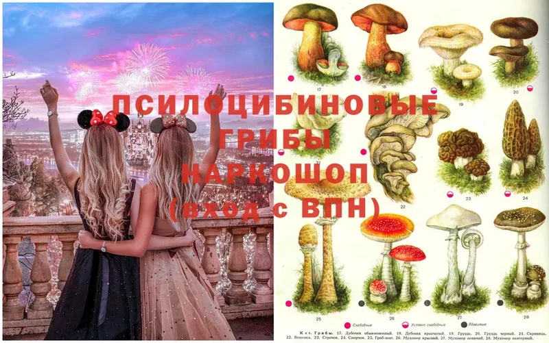 Псилоцибиновые грибы Magic Shrooms  Свирск 